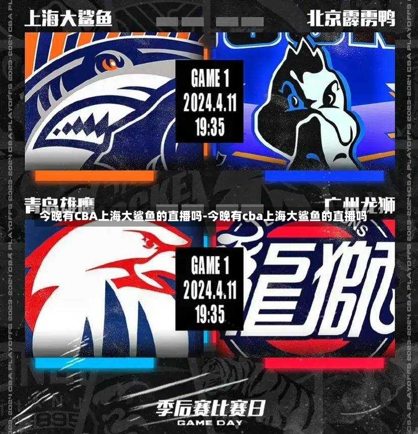 高超的球場