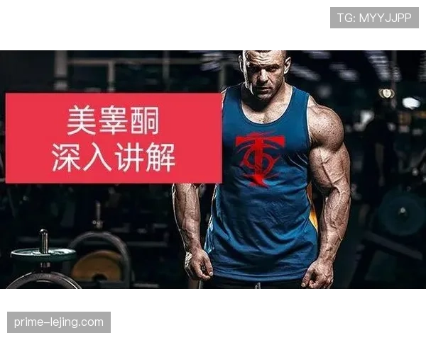 深入解析篮球赛事中视频回放判罚规则的触发条件与执行流程